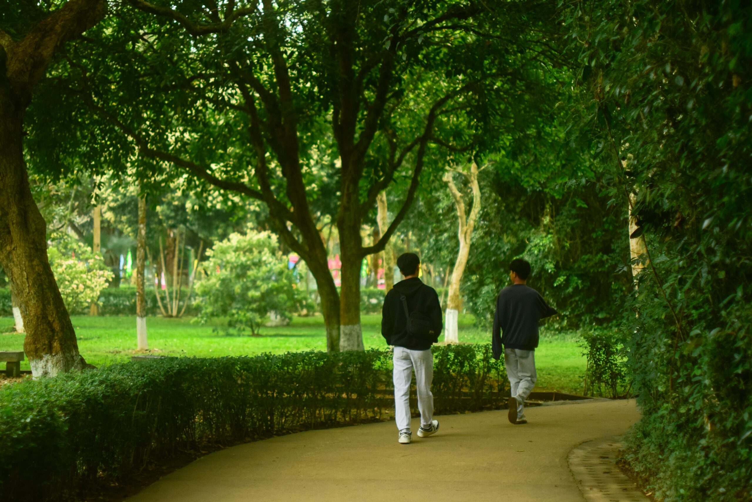 Zwei Männer gehen gemächlich einen von Bäumen gesäumten Weg in einem üppig grünen Park entlang.