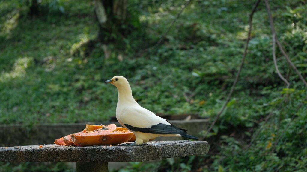 Gesundes Abnehmen: Grundlagen, Ernährung und Ziele