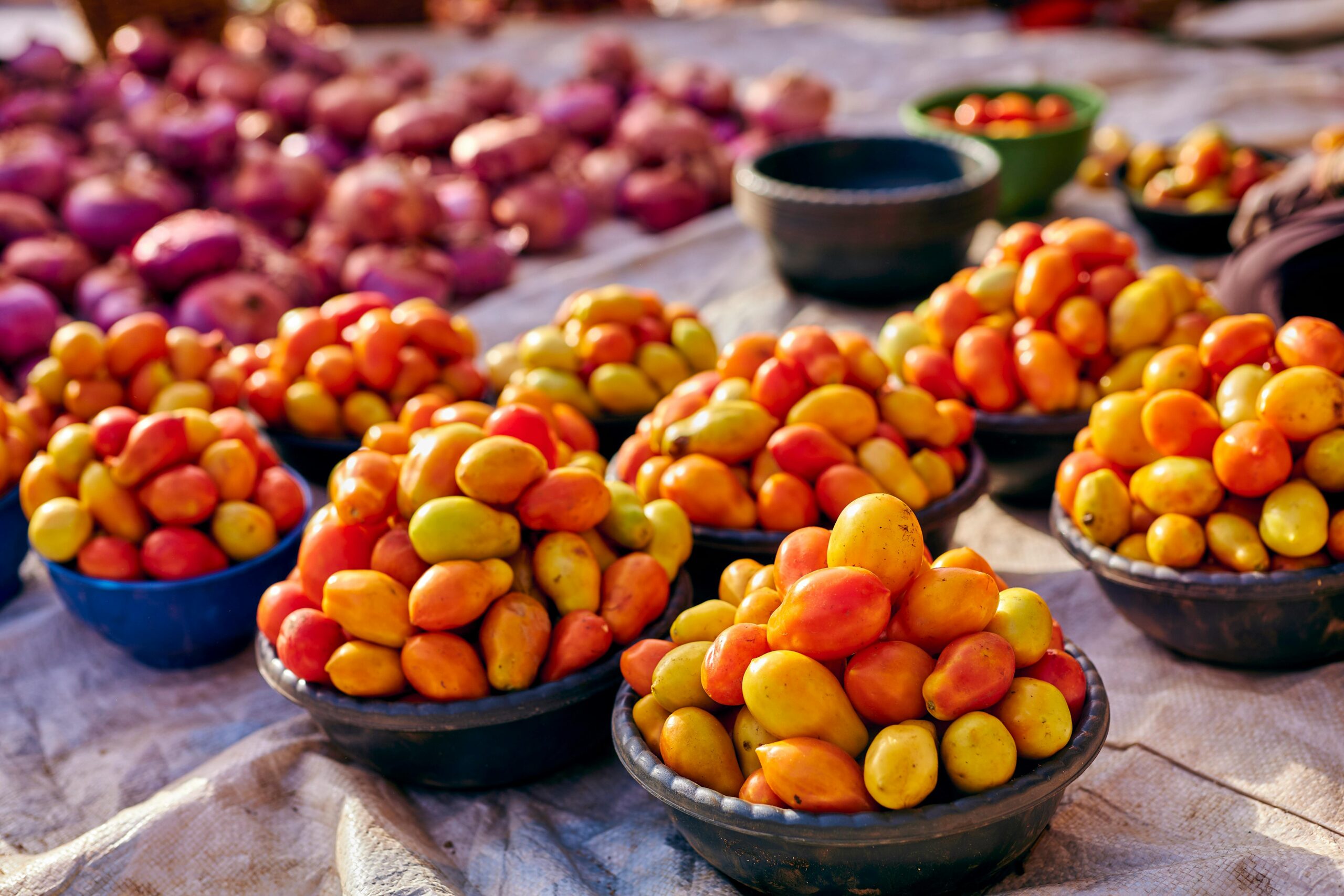 Farbenfrohe Auslage mit frischen Tomaten und Zwiebeln auf einem Markt im Freien.