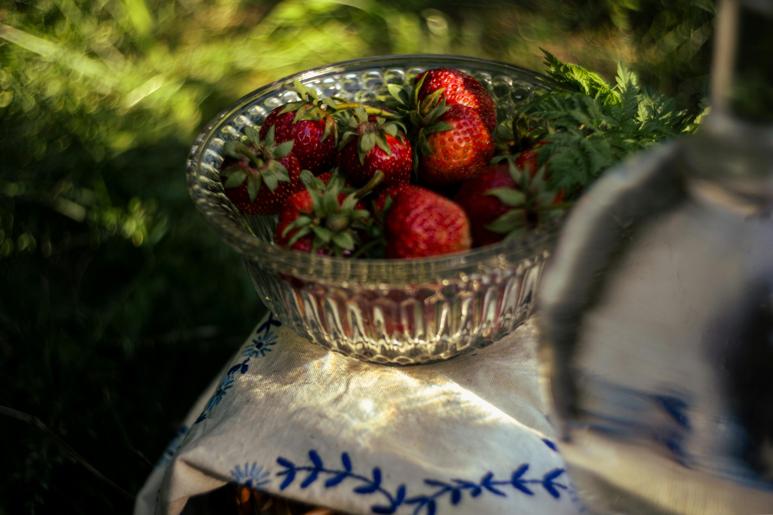 Eine Nahaufnahme von frischen Erdbeeren in einer Glasschale, im Freien an einem sonnigen Tag.