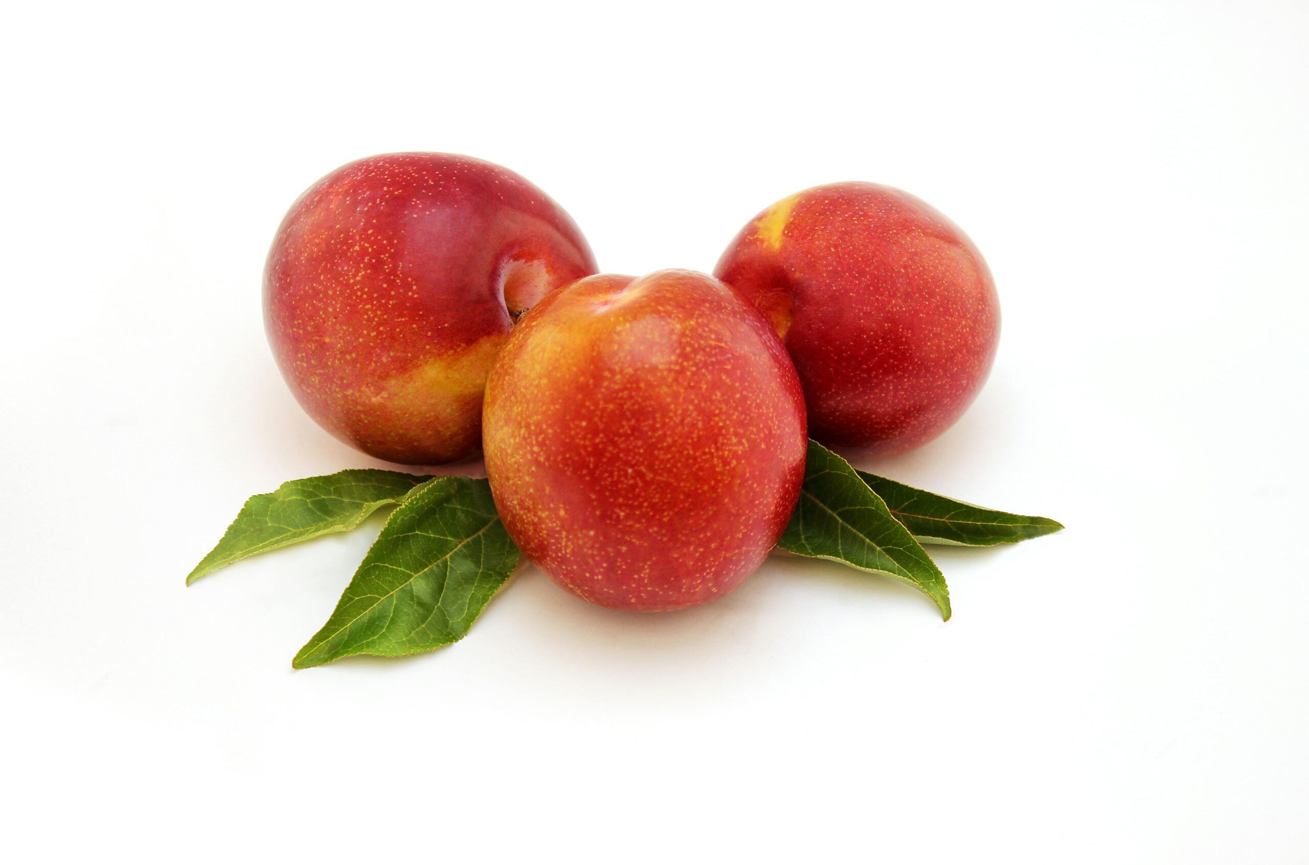 Lebendige, saftige Nektarinen mit Blättern, perfekt für gesunde Ernährungskonzepte.