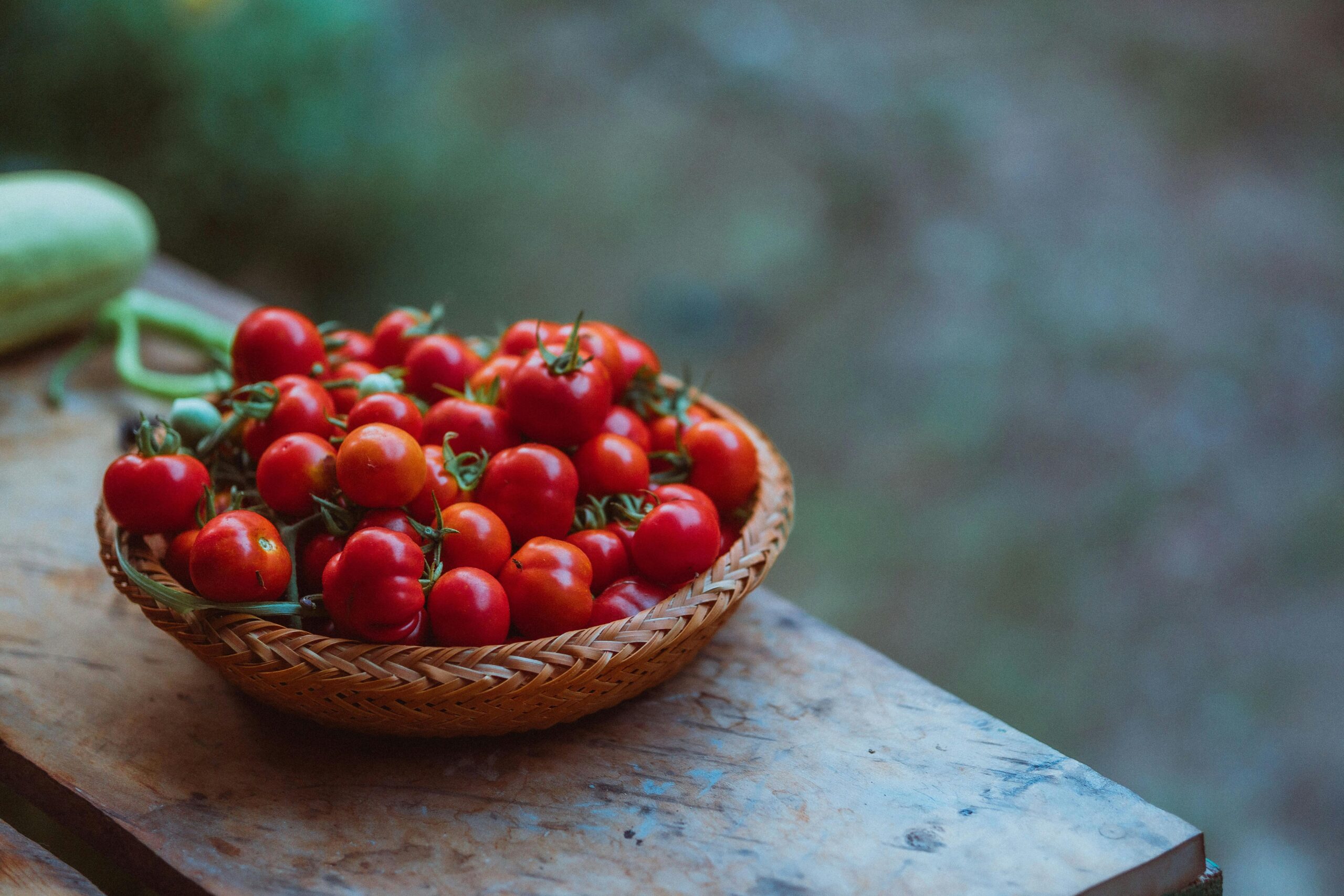 Ein Weidenkorb voller reifer roter Kirschtomaten auf einem rustikalen Holztisch im Freien.