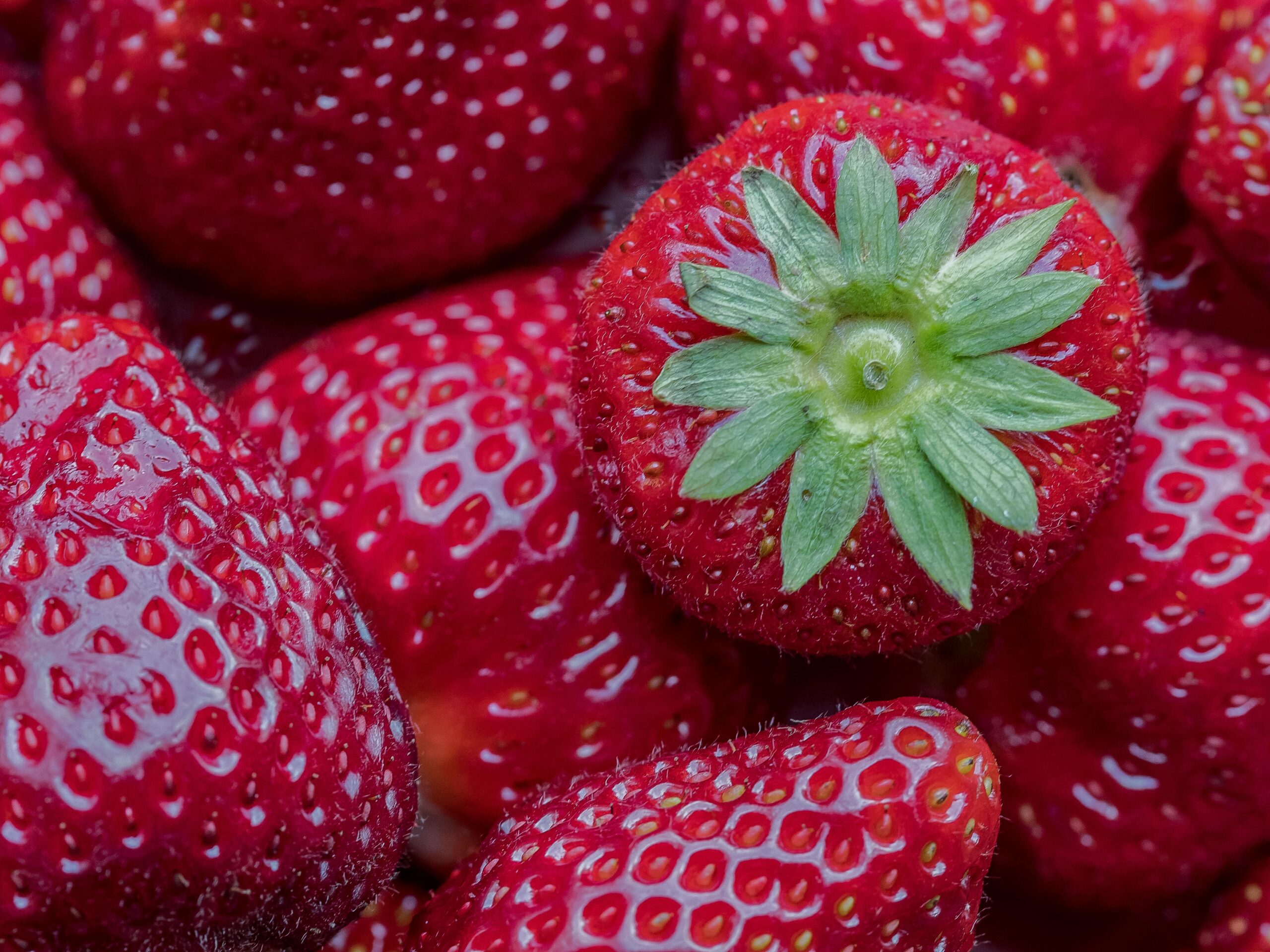 Nahaufnahme von frischen Erdbeeren, die ihre leuchtend rote Farbe und Textur hervorhebt.