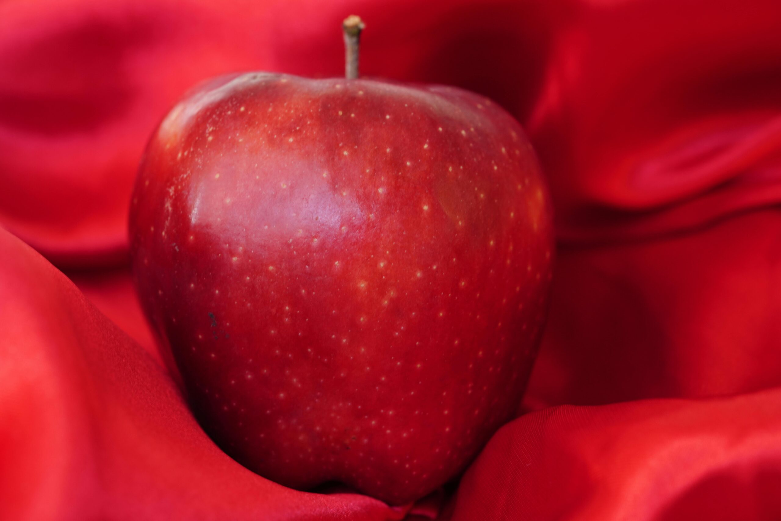 Ein einzelner roter Apfel auf einem satten roten Seidenstoff, der natürliche Schönheit und Eleganz zur Schau stellt.