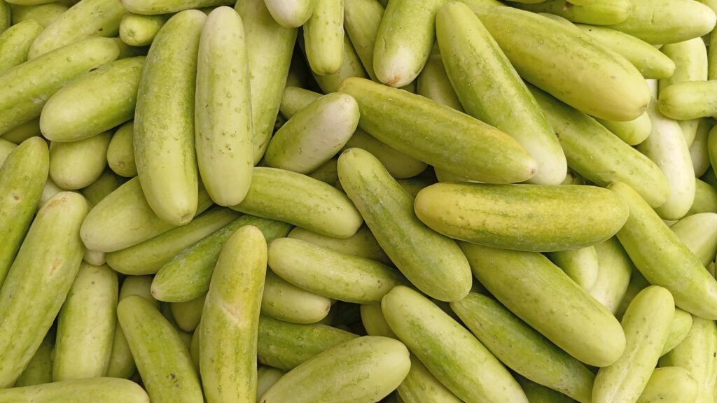 Low Carb erklärt: Varianten, Stoffwechsel & Wirkung