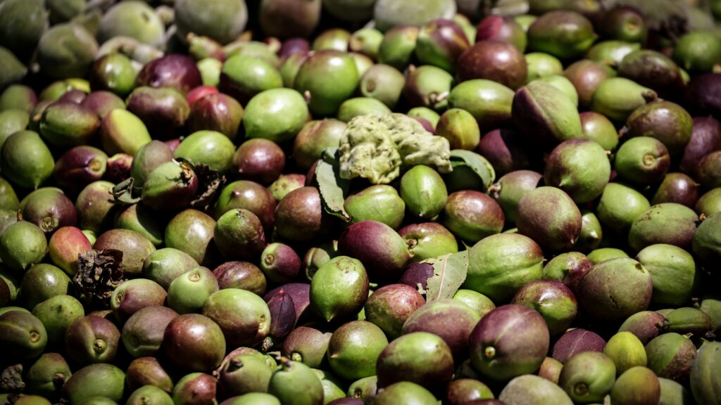 Gesund abnehmen ohne Hunger: nachhaltig & muskelerhaltend